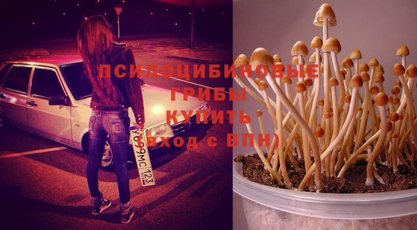 амф Протвино