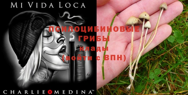 мескалин Баксан