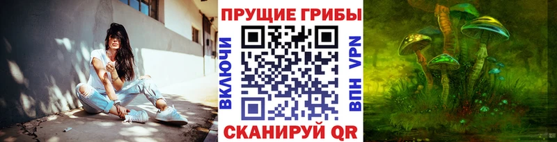 Галлюциногенные грибы ЛСД  купить   Судак 